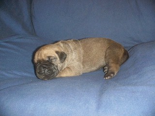 click here to see me grow!