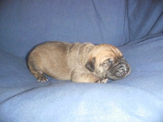 click here! Watch me grow!