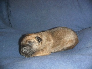 click on me to see me grow!