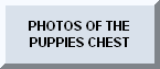CLICK HERE TO GO TO THE CHEST PHOTOS